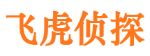 青白江市调查取证